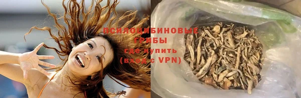 молекула духа Гусиноозёрск
