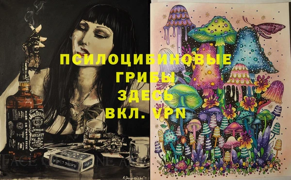 СК Володарск