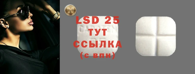 spice Волосово